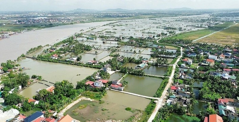 Vùng nuôi rươi tập trung rộng 226 ha ven sông Luộc xã Vĩnh Thuận