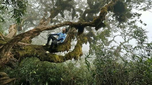 Điều gì khiến Việt Nam trở thành 1 trong 5 nơi lý tưởng nhất thế giới để "phượt" một mình?