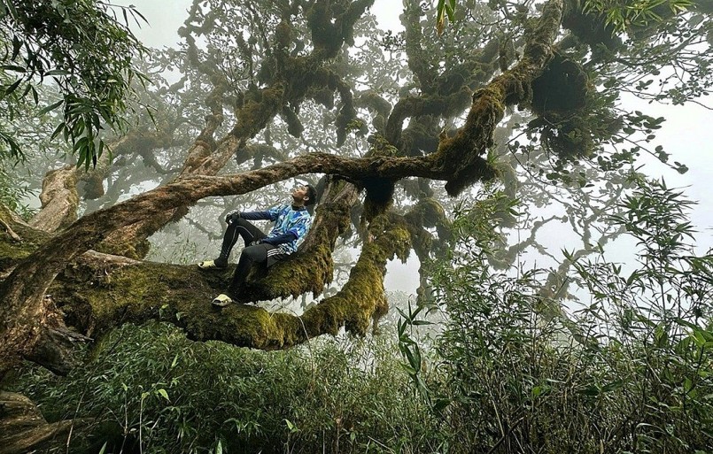 Điều gì khiến Việt Nam trở thành 1 trong 5 nơi lý tưởng nhất thế giới để "phượt" một mình?