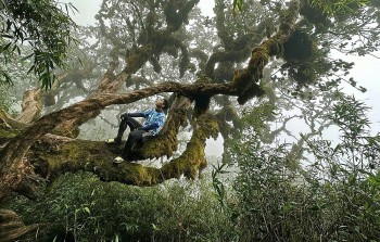 Điều gì khiến Việt Nam trở thành 1 trong 5 nơi lý tưởng nhất thế giới để 