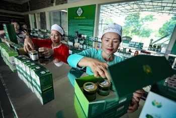 Diễn đàn Kinh tế hợp tác 2025: Hiện thực hóa 