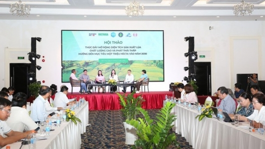 Nhãn hiệu "Gạo Việt xanh, phát thải thấp": Lợi thế cạnh tranh mới cho doanh nghiệp xuất khẩu