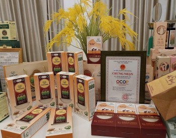 Từ không lãi đến 