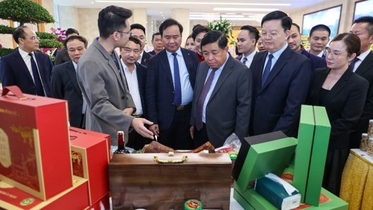 Liên kết hợp tác xã và doanh nghiệp: Giải pháp đột phá cho kinh tế tập thể phát triển bền vững