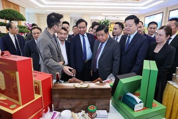 Liên kết hợp tác xã và doanh nghiệp: Giải pháp đột phá cho kinh tế tập thể phát triển bền vững