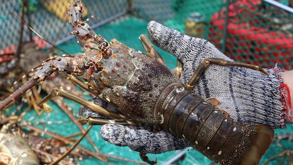 Xuất nhập khẩu lập kỷ lục lịch sử nhờ loạt mặt hàng tỷ đô