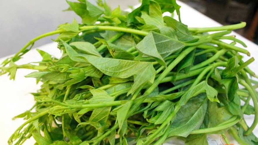 Loại lá xuất khẩu triệu USD mang trong mình hoạt chất quý