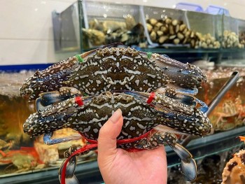 Ghẹ Việt Nam hóa 