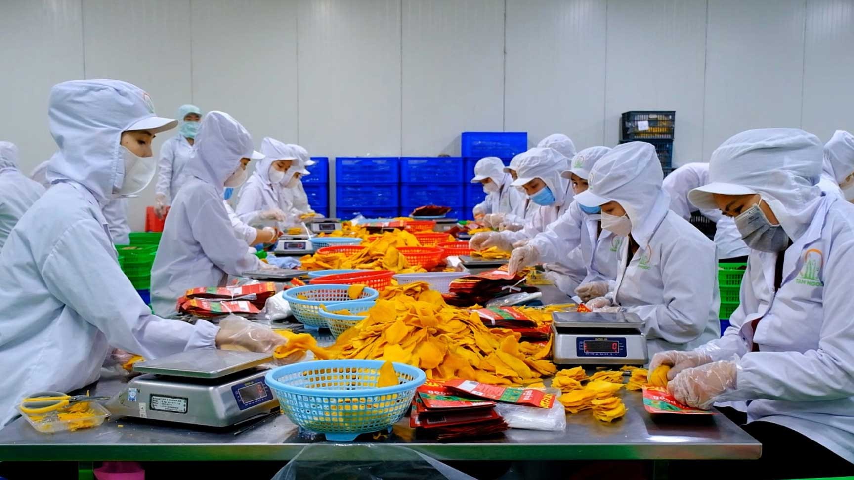 Các sản phẩm nông sản chế biến của Việt Nam xuất khẩu ngày càng được đón nhận. Ảnh minh họa: Mỹ Ly