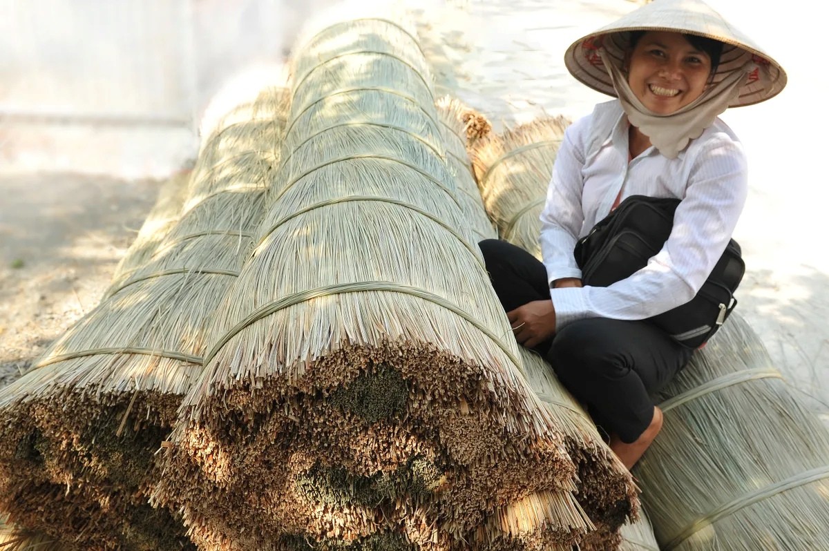 Giữ hồn nghề dệt chiếu Định Yên – nét văn hóa đặc sắc vùng Nam Bộ