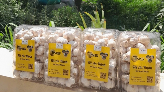 Chuẩn hóa sản phẩm, nâng giá trị tỏi An Thịnh trong chuỗi nông sản Bắc Ninh