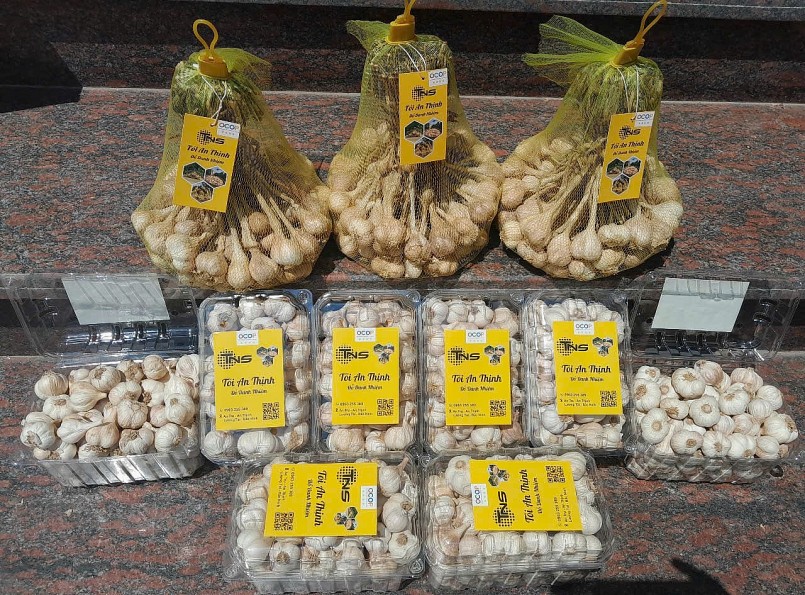 Chuẩn hóa sản phẩm, nâng giá trị tỏi An Thịnh trong chuỗi nông sản Bắc Ninh Chuẩn hóa sản phẩm, nâng giá trị tỏi An Thịnh trong chuỗi nông sản Bắc Ninh