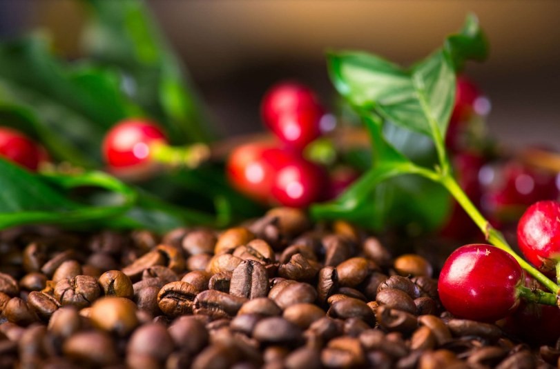 Giá cà phê 8/12: Lặng sóng, chờ quyết sách của Fed và áp lực vụ mới Giá cà phê 8/12: Lặng sóng, chờ quyết sách của Fed và áp lực vụ mới