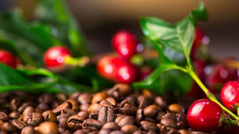 Giá cà phê 8/12: Lặng sóng, chờ quyết sách của Fed và áp lực vụ mới