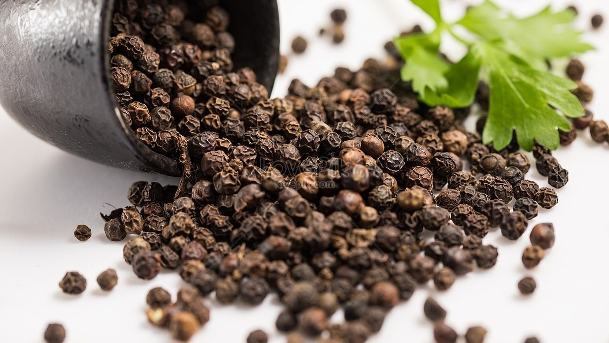 Giá hồ tiêu 8/12: Tăng nhẹ đầu tuần, nền giá vững chắc nhờ động lực xuất khẩu