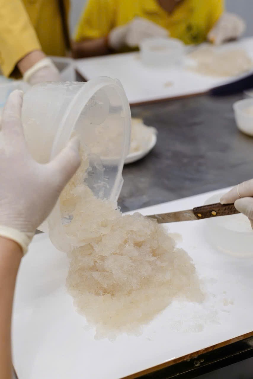 Yến sào xứ Thanh: Hành trình xây dựng thương hiệu Yến chất lượng từ tâm giữa lòng xứ Thanh