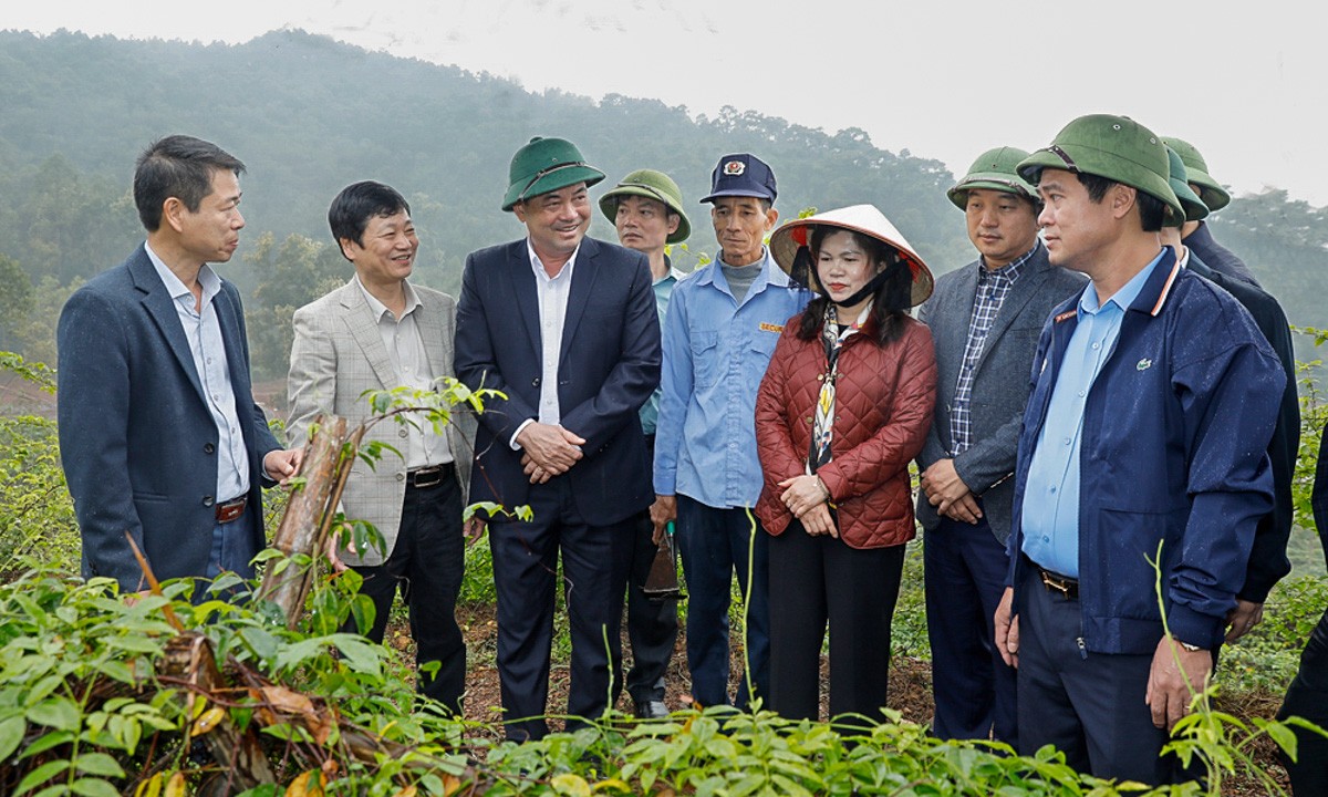 Từ đồng thuận chính trị đến sinh kế người dân: Bắc Ninh tạo bước đột phá trong giảm nghèo bền vững Từ đồng thuận chính trị đến sinh kế người dân: Bắc Ninh tạo bước đột phá trong giảm nghèo bền vững