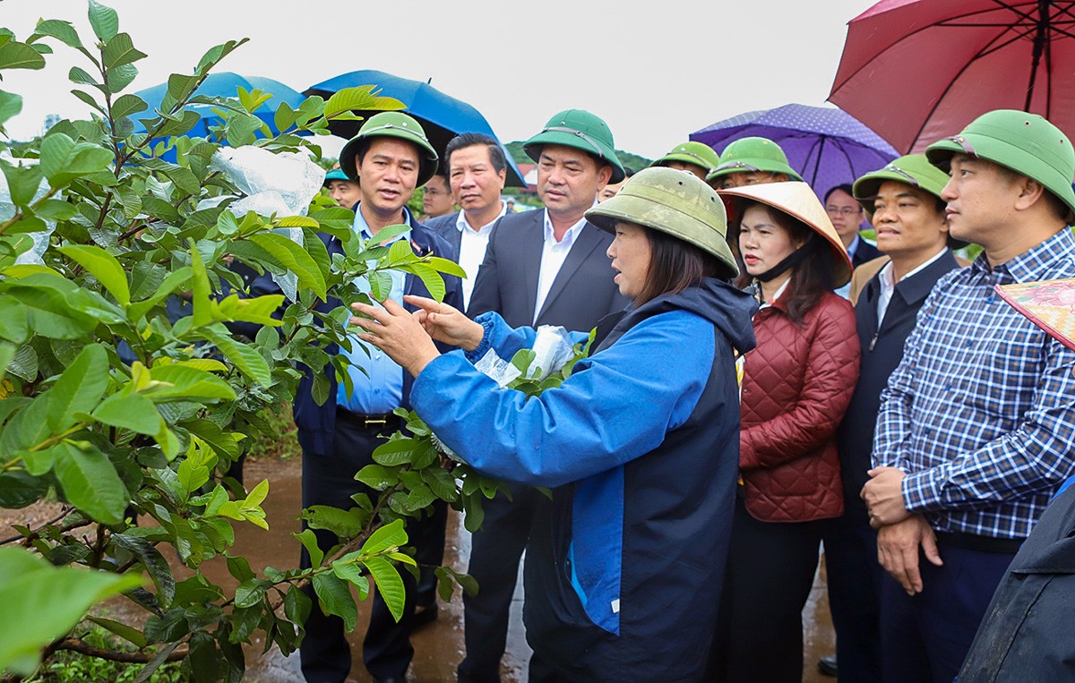 Từ đồng thuận chính trị đến sinh kế người dân: Bắc Ninh tạo bước đột phá trong giảm nghèo bền vững Từ đồng thuận chính trị đến sinh kế người dân: Bắc Ninh tạo bước đột phá trong giảm nghèo bền vững