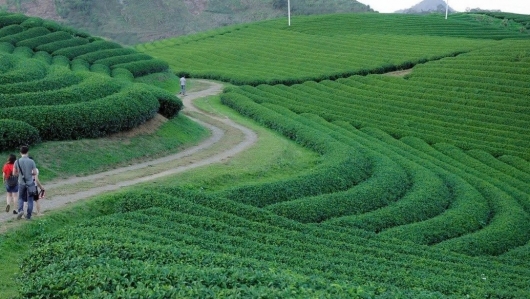 Việt Nam lần thứ 6 được bình chọn là Điểm đến Di sản hàng đầu thế giới