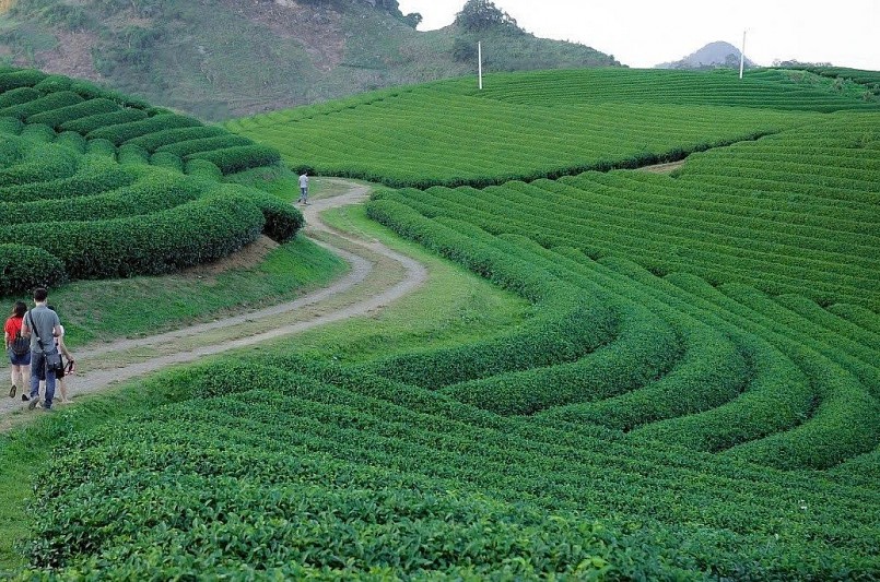 Việt Nam lần thứ 6 được bình chọn là Điểm đến Di sản hàng đầu thế giới