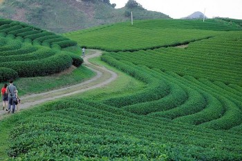 Việt Nam lần thứ 6 được bình chọn là Điểm đến Di sản hàng đầu thế giới