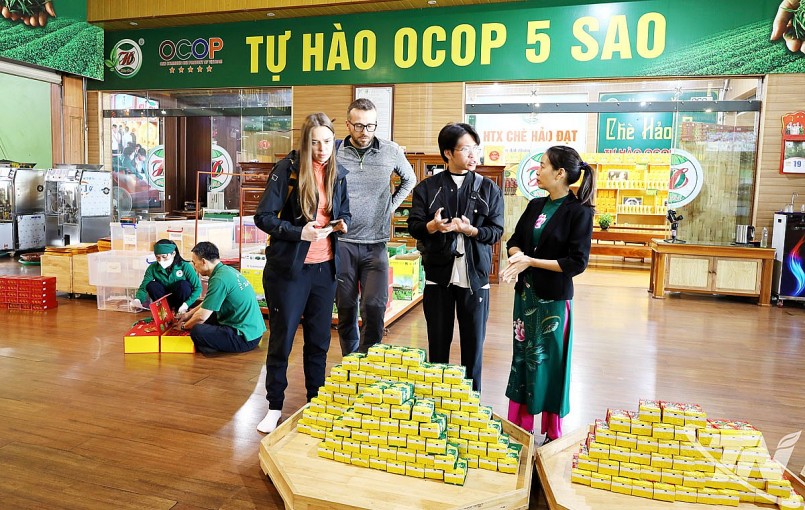 OCOP Thái Nguyên tìm hướng tiêu thụ: Đâu là lối mở cho đầu ra bền vững? OCOP Thái Nguyên tìm hướng tiêu thụ: Đâu là lối mở cho đầu ra bền vững?