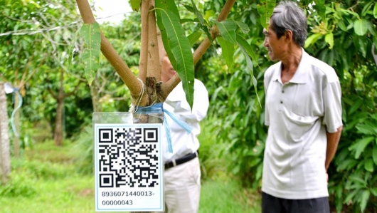 Mua may bán đắt nhờ "sân chơi số": Bí quyết thành công của hợp tác xã