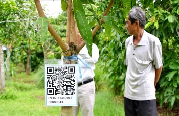 Mua may bán đắt nhờ 