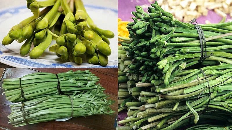 Rau kèo nèo thường mọc tự nhiên ở các vùng trũng, ven kênh rạch và ruộng lúa ngập nước