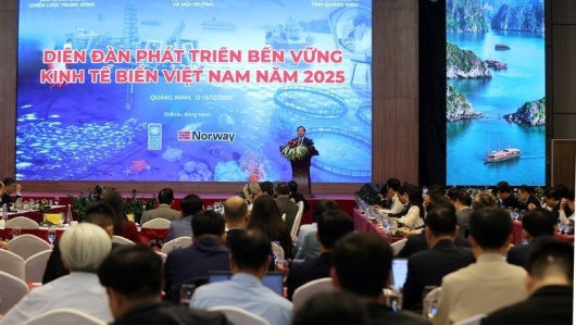 'Kinh tế biển xanh' Việt Nam: Tư duy tiên phong và yêu cầu hoàn thiện chính sách