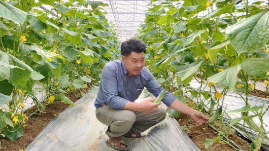 Mở đường cho nông nghiệp hiện đại: Từ chính sách đột phá đến những mô hình tiên phong trên đồng đất xứ Thanh