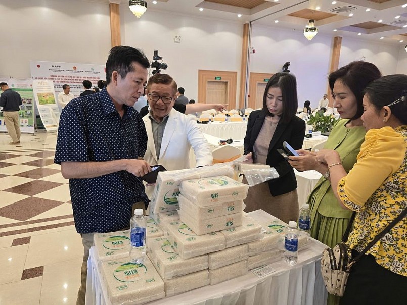 Từ công nghệ Nhật Bản đến hạt gạo xanh: hành trình nâng tầm lúa gạo Việt Từ công nghệ Nhật Bản đến hạt gạo xanh: hành trình nâng tầm lúa gạo Việt