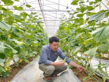 Mở đường cho nông nghiệp hiện đại: Từ chính sách đột phá đến những mô hình tiên phong trên đồng đất xứ Thanh