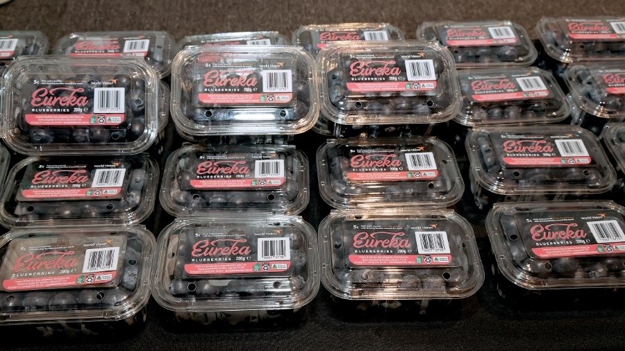 Việt quất Australia chính thức vào Việt Nam, thúc đẩy hợp tác nông nghiệp song phương