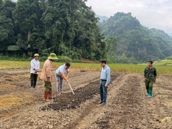 Biến đất ruộng bỏ không thành 