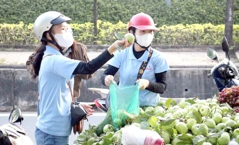 Thưởng Tết Nguyên đán Bính Ngọ 2026: Phân hóa rõ nét giữa các nhóm lao động Thưởng Tết Nguyên đán Bính Ngọ 2026: Phân hóa rõ nét giữa các nhóm lao động