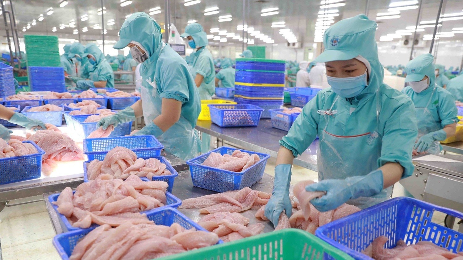 Xuất khẩu cá tra Việt Nam vượt mốc 2 tỷ USD