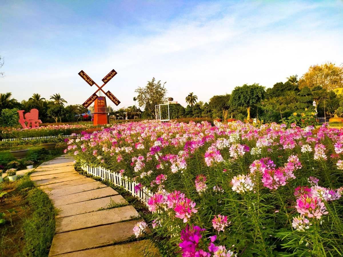 Làng hoa Sa Đéc – Hơn một thế kỷ giữ sắc hương trên đất phù sa