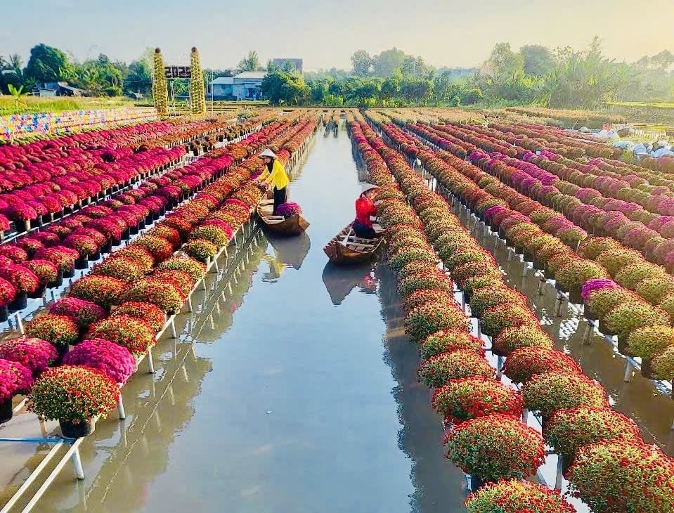 Làng hoa Sa Đéc – Hơn một thế kỷ giữ sắc hương trên đất phù sa