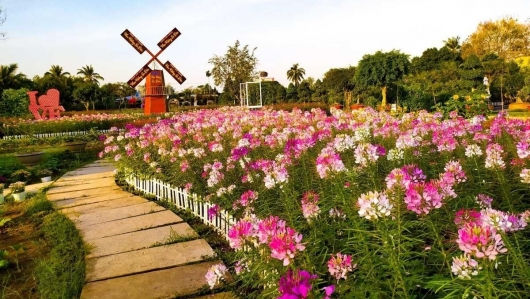 Làng hoa Sa Đéc – Hơn một thế kỷ giữ sắc hương trên đất phù sa