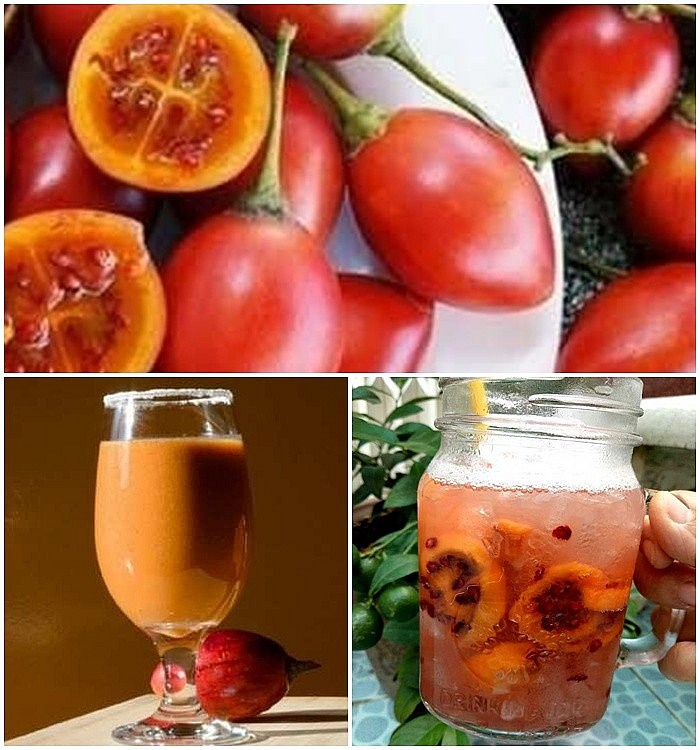 Loại quả từng có giá đắt bậc nhất thế giới nay phủ sóng vườn Việt