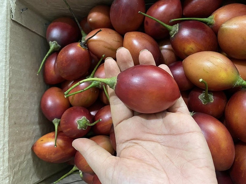 Loại quả từng có giá đắt bậc nhất thế giới nay phủ sóng vườn Việt