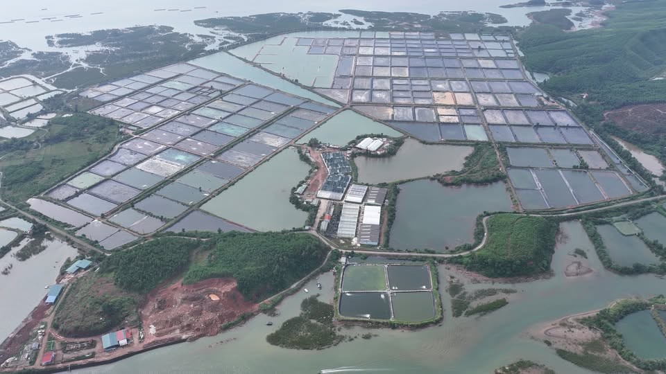 Dự án Trung tâm ương giống, nuôi trồng thuỷ sản công nghiệp kết hợp Nhà máy điện mặt trời Đầm Hà công suất 100MW.