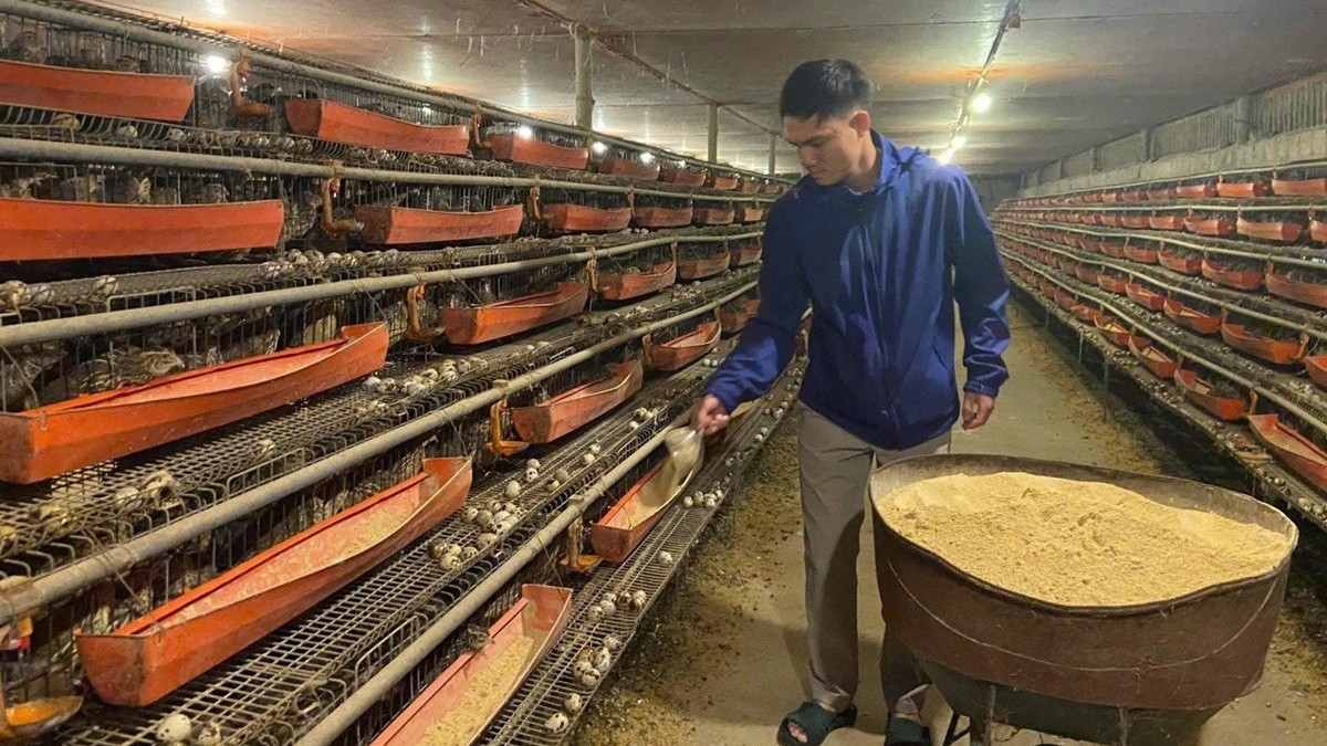 Khởi nghiệp từ hai bàn tay trắng, chàng trai trẻ đổi đời nhờ con “mắn đẻ”