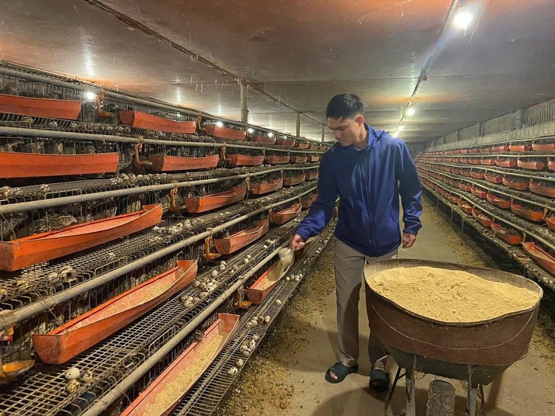 Khởi nghiệp từ hai bàn tay trắng, chàng trai trẻ đổi đời nhờ con “mắn đẻ” Khởi nghiệp từ hai bàn tay trắng, chàng trai trẻ đổi đời nhờ con “mắn đẻ”