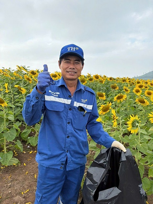 Cánh đồng hướng dương TH tạm đóng cửa ngày nào?