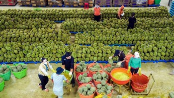 Xuất khẩu nông sản 2025: Vượt 