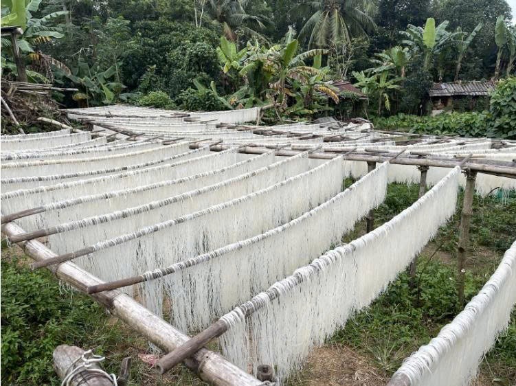 Sản phẩm OCOP miến dong Bình Lư giữ trọn hương vị truyền thống vùng cao