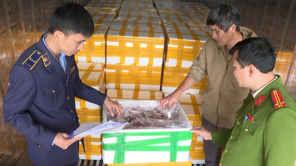 Chất cấm Formol trong 10 tấn cá khoai vừa bị bắt giữ nguy hiểm như thế nào?