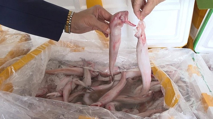 Toàn bộ số cá khoai trên xe đầu kéo đều chứa hàm lượng formol đậm đặc